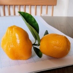 digital Hobby Station, by DomusKom