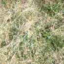 万葉集・十三～十五歌解読（6,五番歌）、イラン攻撃、物理と数学