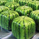 あるけまや　－考古学・歴史ニュース－