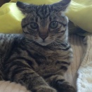 大きくなったぞ❣️もずく君