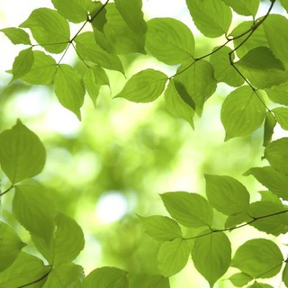 人生０手の読み