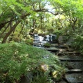 梅雨晴間の姫路城と好古園