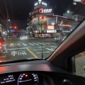 選挙があると暇になる理屈。さるる(;´д｀)
