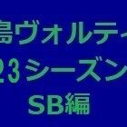 『徳島ヴォルティス2023年陣容 SB編』の画像