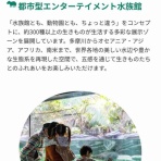 ワハハ本舗シェフ米山の『おいしい生活』
