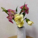 昨日動けなかった理由