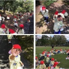 『年少さんがコカ・コーラウエストパークに園外保育に行ってきました。』の画像