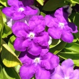 『あと１~2年？』の画像