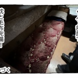 【１６】海外寝台列車旅がアツすぎた。