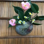 ヨーガ うみむすび