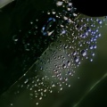 梅雨明けの朝