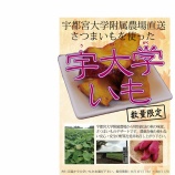 『御幸町店にて9/30までの期間限定スイーツ「宇大学いも」』の画像
