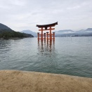 息子との広島旅行　後編