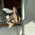 寝相がひどい、ひどすぎる(๑¯◡¯๑)