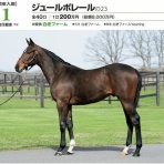 社台・サンデー2018年新入会員の成長譚