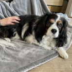 黄昏時の落としもの