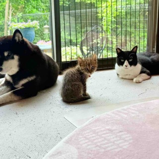 かぼすちゃんとおさんぽ。