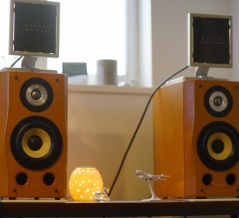 Sony SS-AL5 II のレビュー