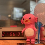 『[ノイミー] 本日(6月1日)の、ノイステは『1stコンサート直後に“ほぼ生放送”緊急スペシャル』を放送! いこのいch でも同時配信が決定!!』の画像