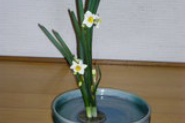 植物と楽しむ 御室流生け花ー創作花