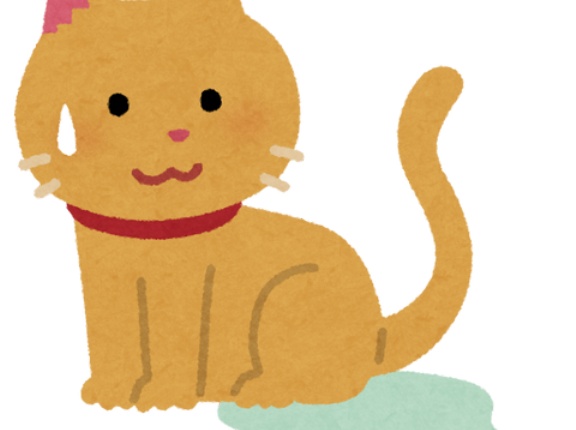 中国人女性、韓国のゲストハウスで就寝中に日本人男性に尿をかけられたとおかしな主張、中国のネットで日本が炎上状態