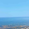 葉山コウ🍀海！
