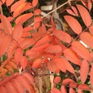 土曜日陶芸教室