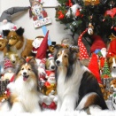 走って遊んで飾り付けそしてマッサージ