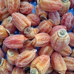 伊那谷農業日記