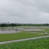 『本日18日(土)、全グラウンド利用出来ません』の画像