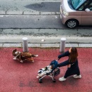 函館駅前カメラ遊び