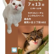 お知らせ2つ