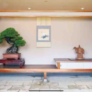 雨竹 盆栽 水石 便り