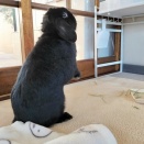 こだわり こんぶ