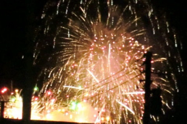 没落男の思い立ったら日記 たま