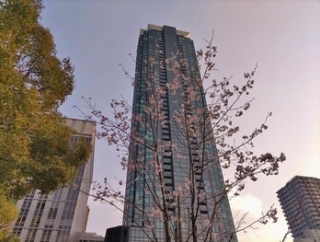 夜のお出掛け　シンフォニーホール