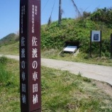 『残したい伝承 車田植』の画像