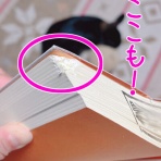 はじめてのうさぎ