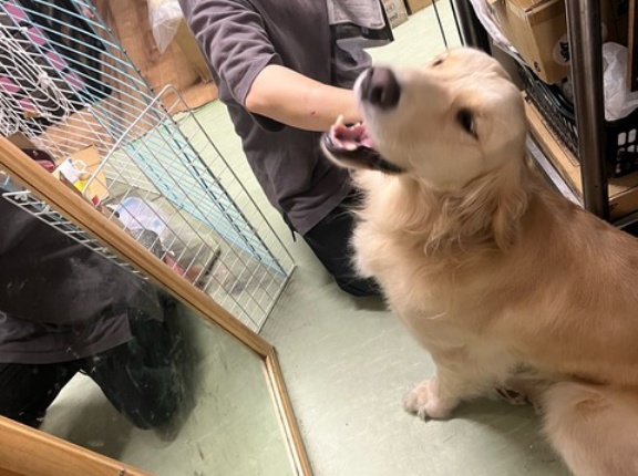 今夜もお疲れ～🐶👌💓