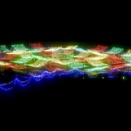 水性花壇のイルミネーション