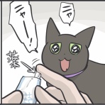 おそらくその平凡こそ幸せ　猫と私と家族の日常