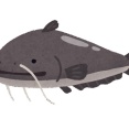 ウナギの代わりになれるポテンシャルを秘めた魚って他にも絶対おるやろ
