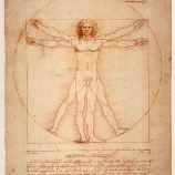 『ダ・ヴィンチ２：死後500年目のDNA鑑定』の画像