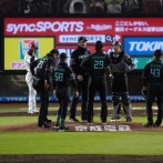 日本ハムのエスコン以外ｗｗｗｗｗｗｗｗｗｗｗｗｗ