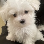 宮崎県 ワンラブ ホームワイドプラス都城店のスタッフblog