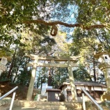 『【橿原市見瀬町】勧請縄が張られた鳥居が特徴 飛鳥時代政治の中心だった場所の近くに鎮座する見瀬八幡神社』の画像