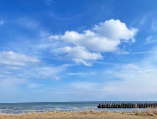 半年分の必需品 ／ 実家サポート