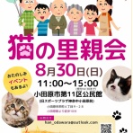 Human＆Animal Network   365日 里親募集中！