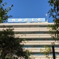 【政治】減る党員数に自民党が危機感、100万人割れ現実味…総裁選でつなぎとめへ
