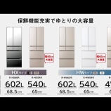 『冷蔵庫購入の決め手は店員さん？』の画像